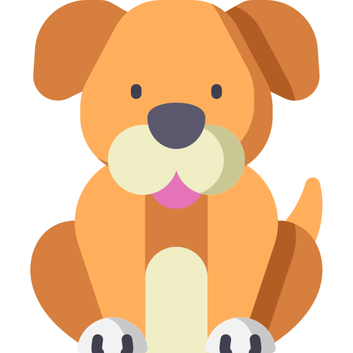 Perro