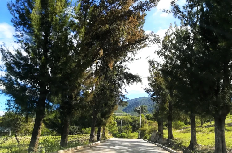 imagen representativa del pueblo